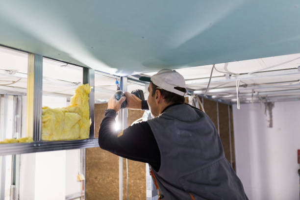 Professional Insulation Contractor in KS