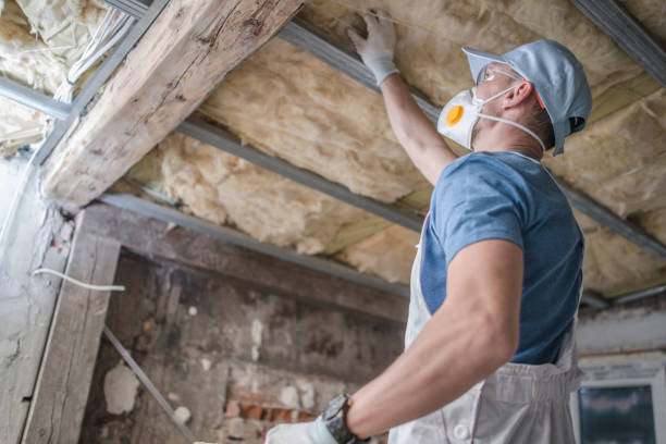 Best Insulation Installation Services in Neodesha, KS
