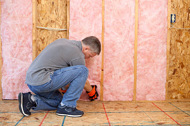 Best Insulation Maintenance and Repair in Neodesha, KS
